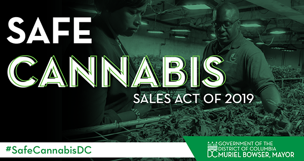 Safe Cannabis Sales Act of 2019