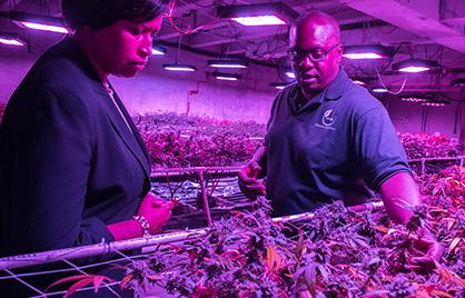 Mayor Bowser at Cultivation Center Mayor Bowser at Cultivation Center