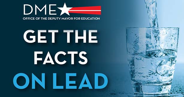 Get the Facts on Lead